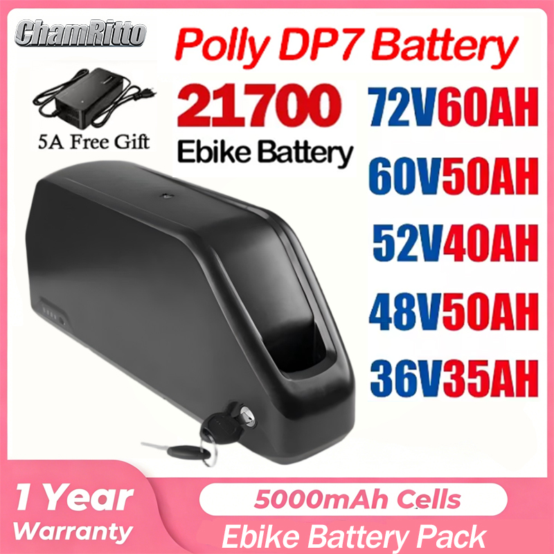 72V 40Ah Lifepo4 Battery Pack - Akumulator Hailong Polly 52V 50Ah 48V