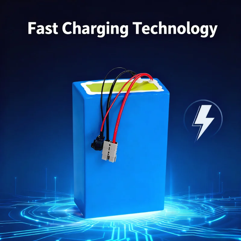 Akumulator litowo-jonowy BMS 7 – 72V 40Ah Lifepo4 Battery Pack recenzja i cena